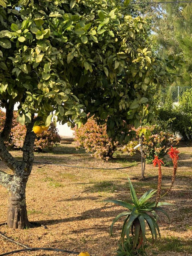 Quinta Verde البوفيرا المظهر الخارجي الصورة