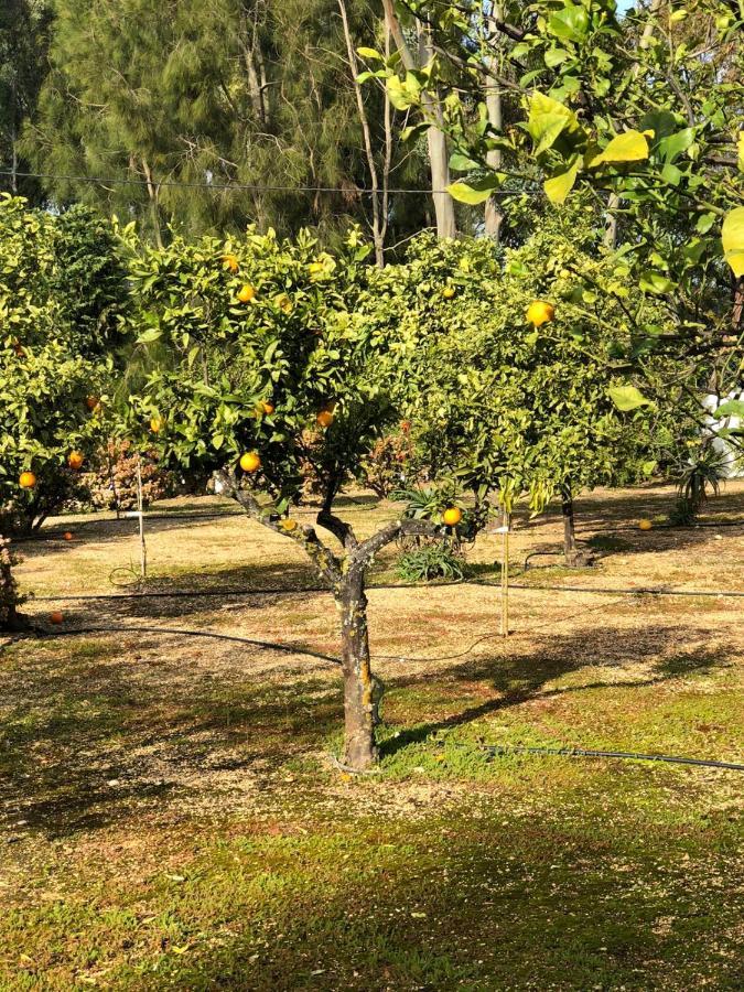 Quinta Verde البوفيرا المظهر الخارجي الصورة